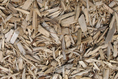 biomass boilers Deepdene